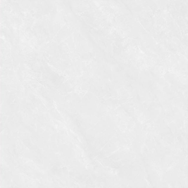 QP88P605
